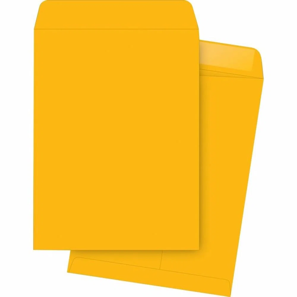 Business Source - Sobres para catálogo, formato grande, 25,4 x 38,1 cm (42115)