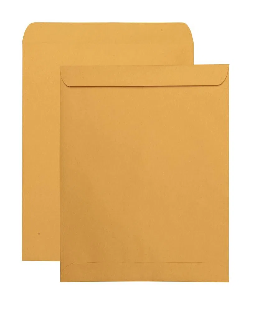 Calidad Park 41865 calidad Parque catálogo sobres, hvyweight/encolado), 11 – 1/2 x 14 – 1/2,28lb Kraft, 250/BX